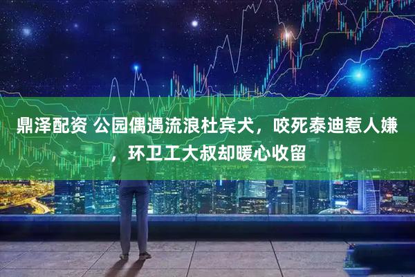 鼎泽配资 公园偶遇流浪杜宾犬，咬死泰迪惹人嫌，环卫工大叔却暖心收留