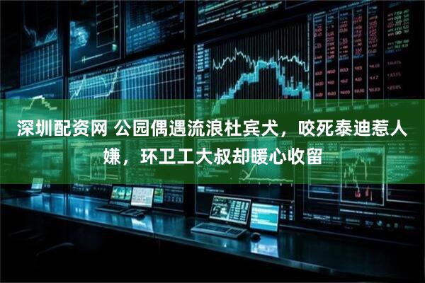 深圳配资网 公园偶遇流浪杜宾犬，咬死泰迪惹人嫌，环卫工大叔却暖心收留
