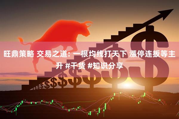 旺鼎策略 交易之道: 一根均线打天下 漲停连扳等主升 #干货 #知识分享