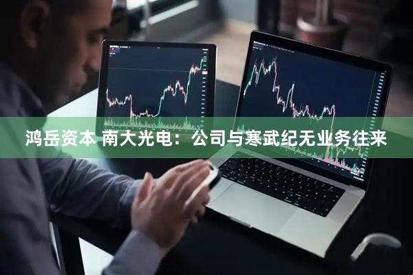 鸿岳资本 南大光电：公司与寒武纪无业务往来