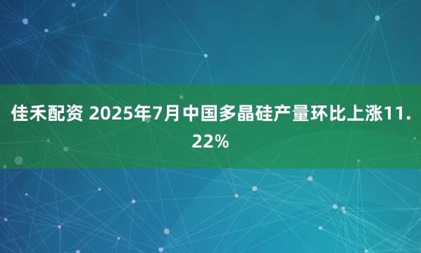 佳禾配资 2025年7月中国多晶硅产量环比上涨11.22%