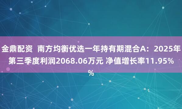 金鼎配资  南方均衡优选一年持有期混合A：2025年第三季度利润2068.06万元 净值增长率11.95%